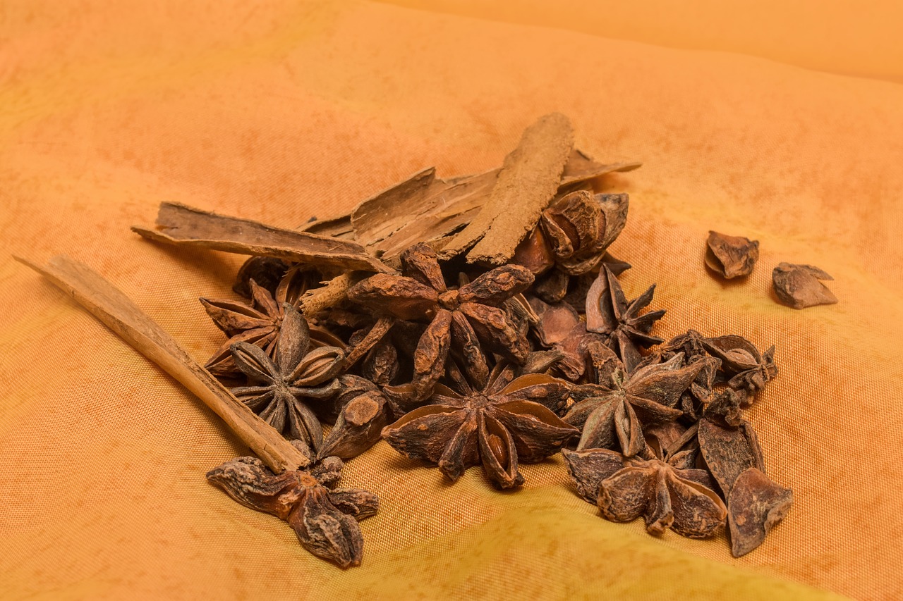 star anise  condiments  anise free photo