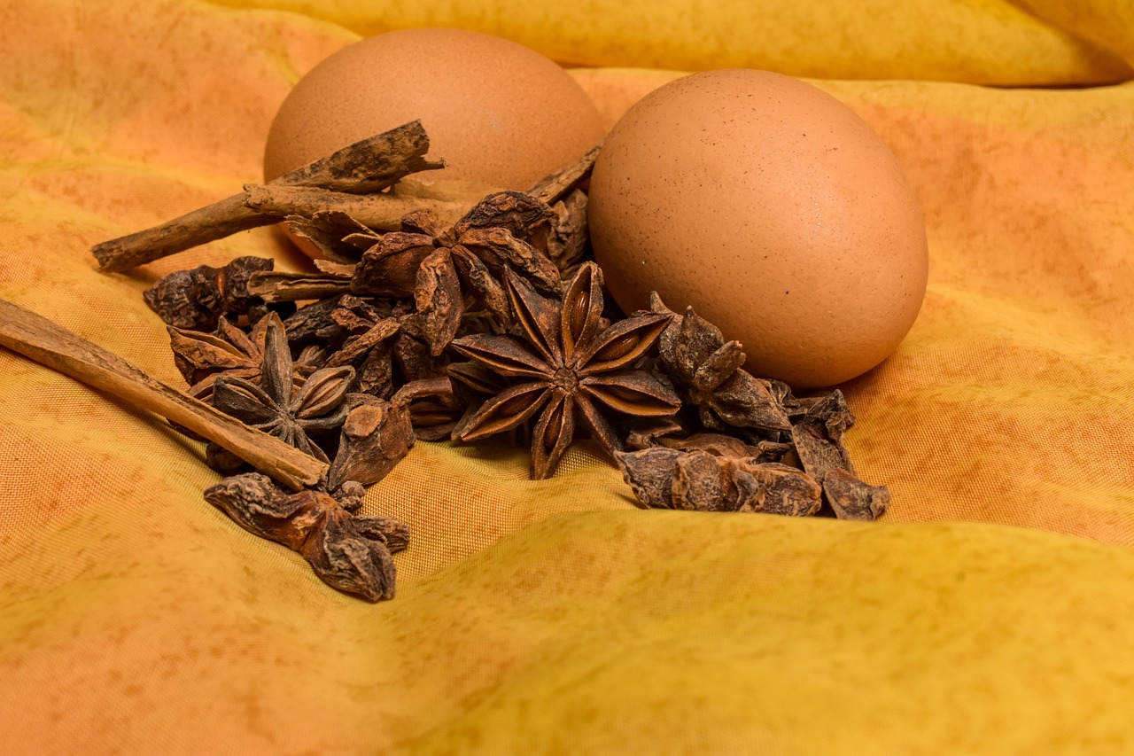 star anise  condiments  anise free photo