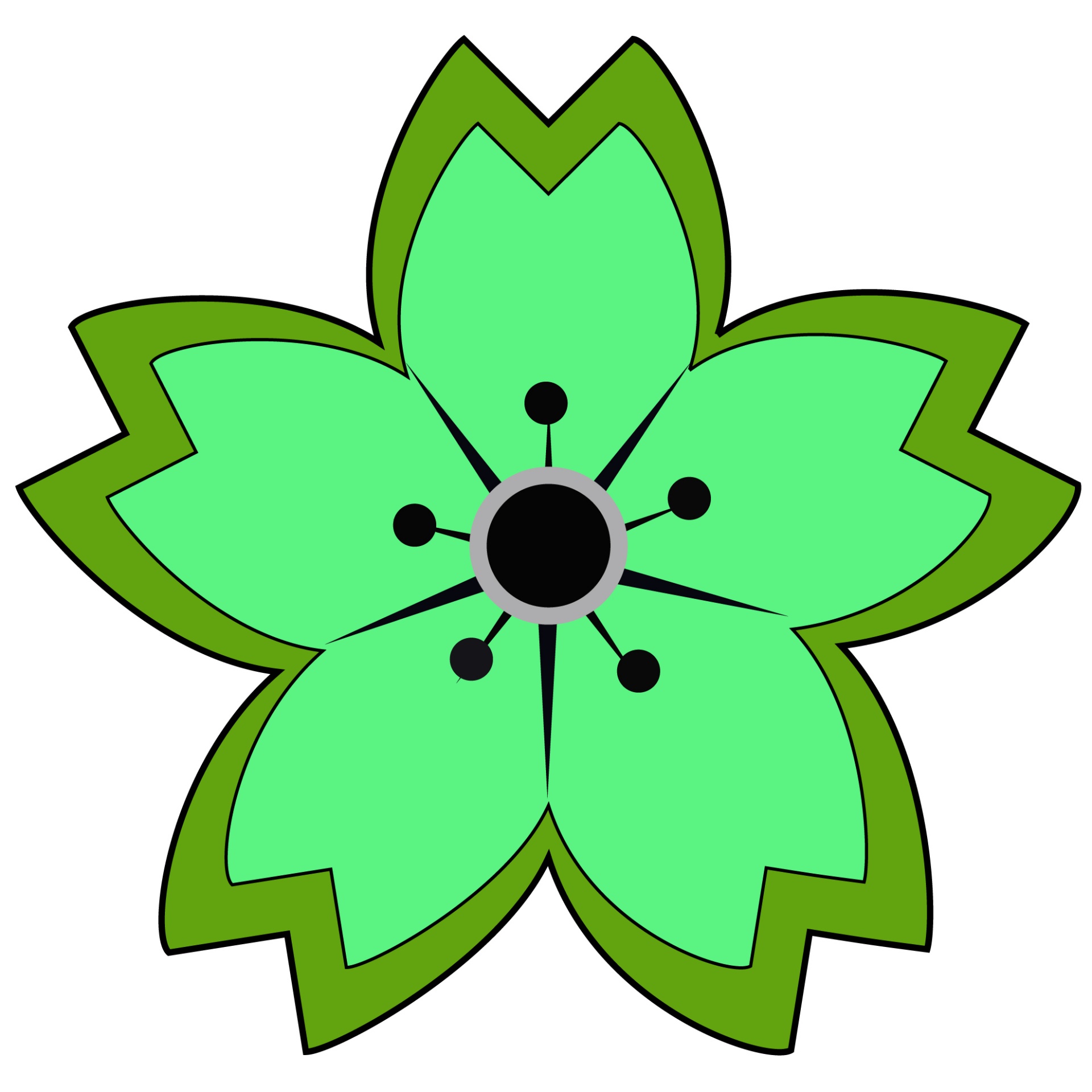 star flower green star flower free photo