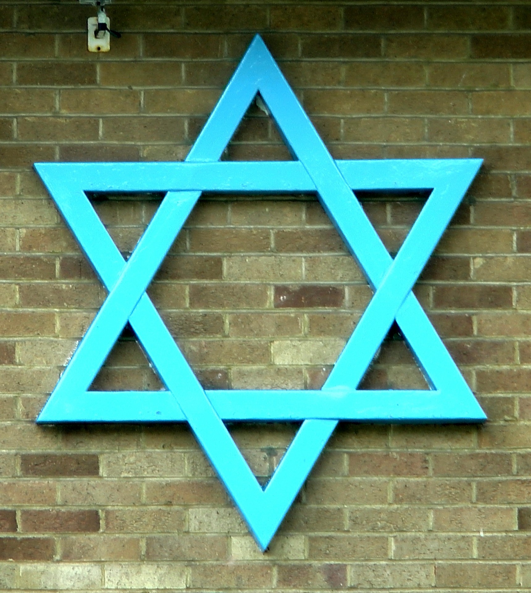 star david synagogue religion free photo