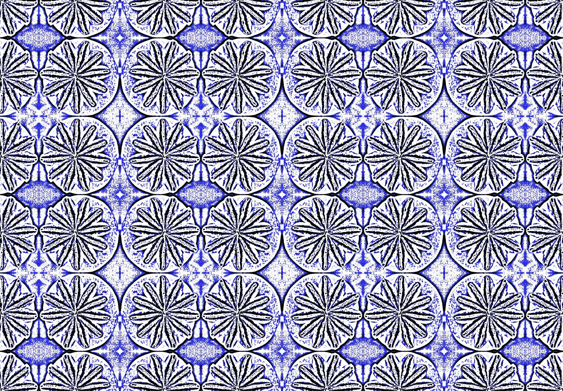 pattern star flower free photo