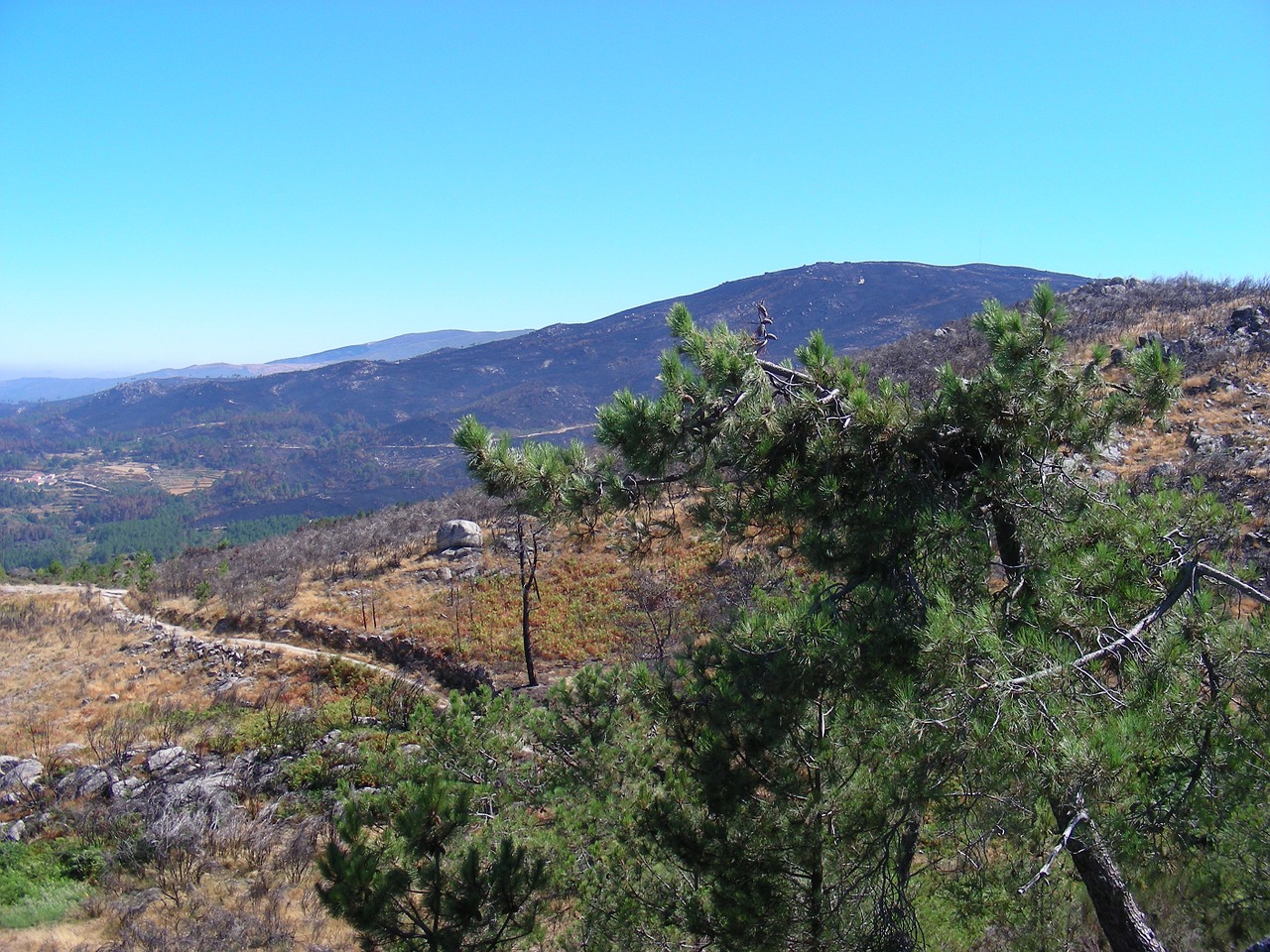 star saw panorama mountain free photo