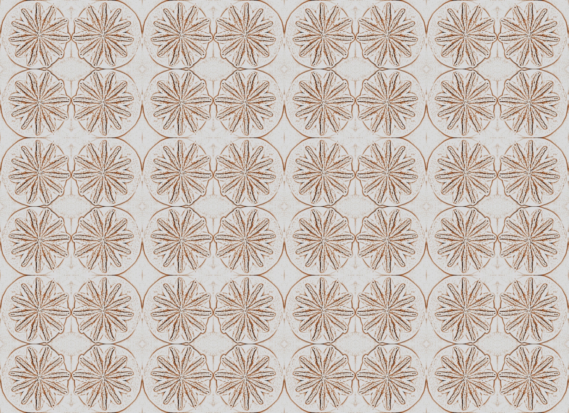 pattern flower star-like free photo