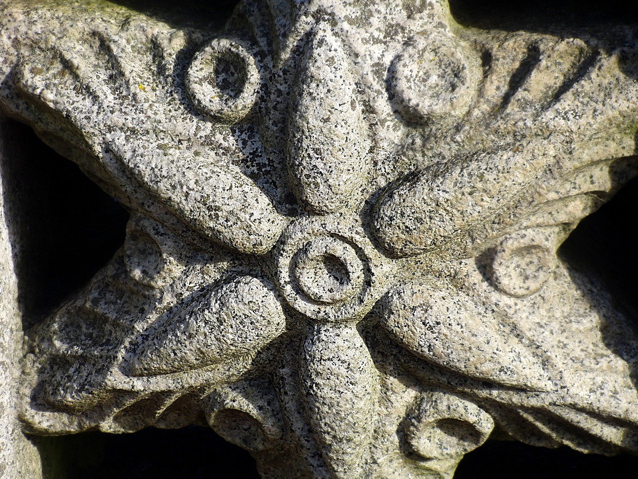 starfish stone architecture free photo