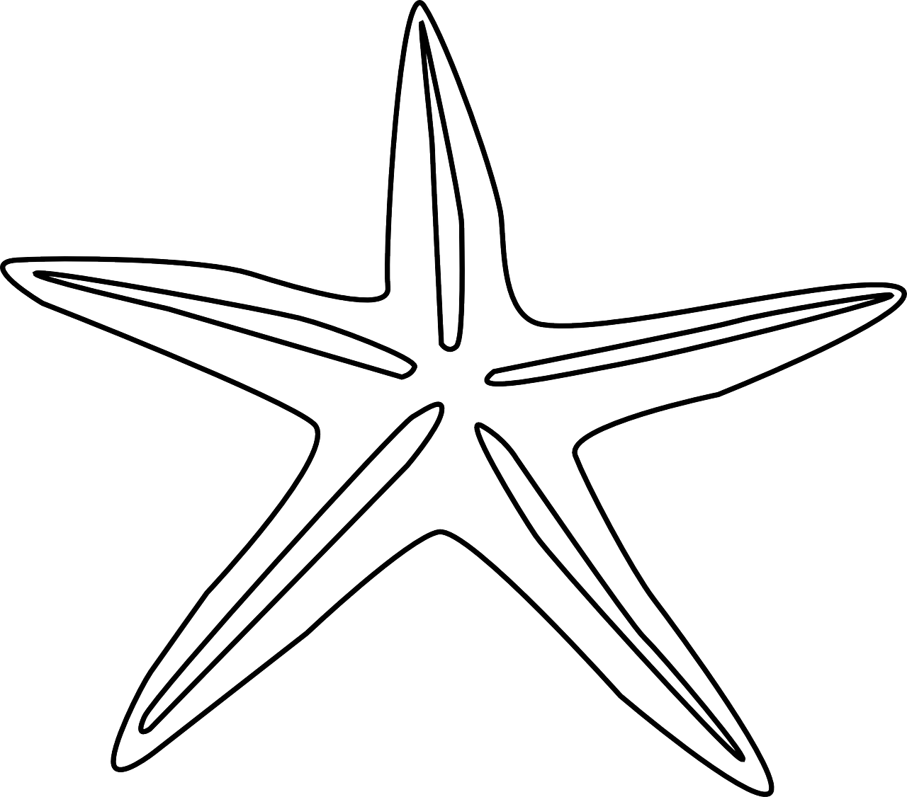 starfish echinodermata animal free photo