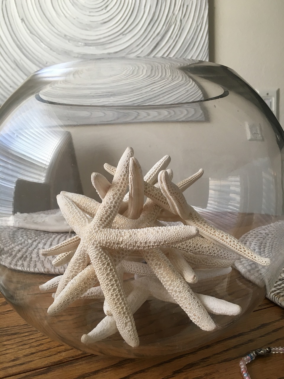 starfish beach decor free photo