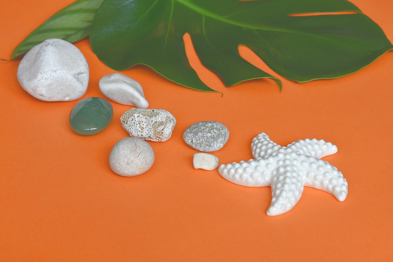 starfish  summer  pebbles free photo