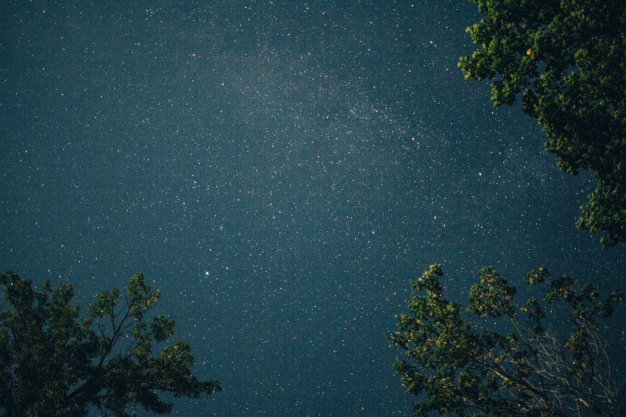 stars sky night free photo
