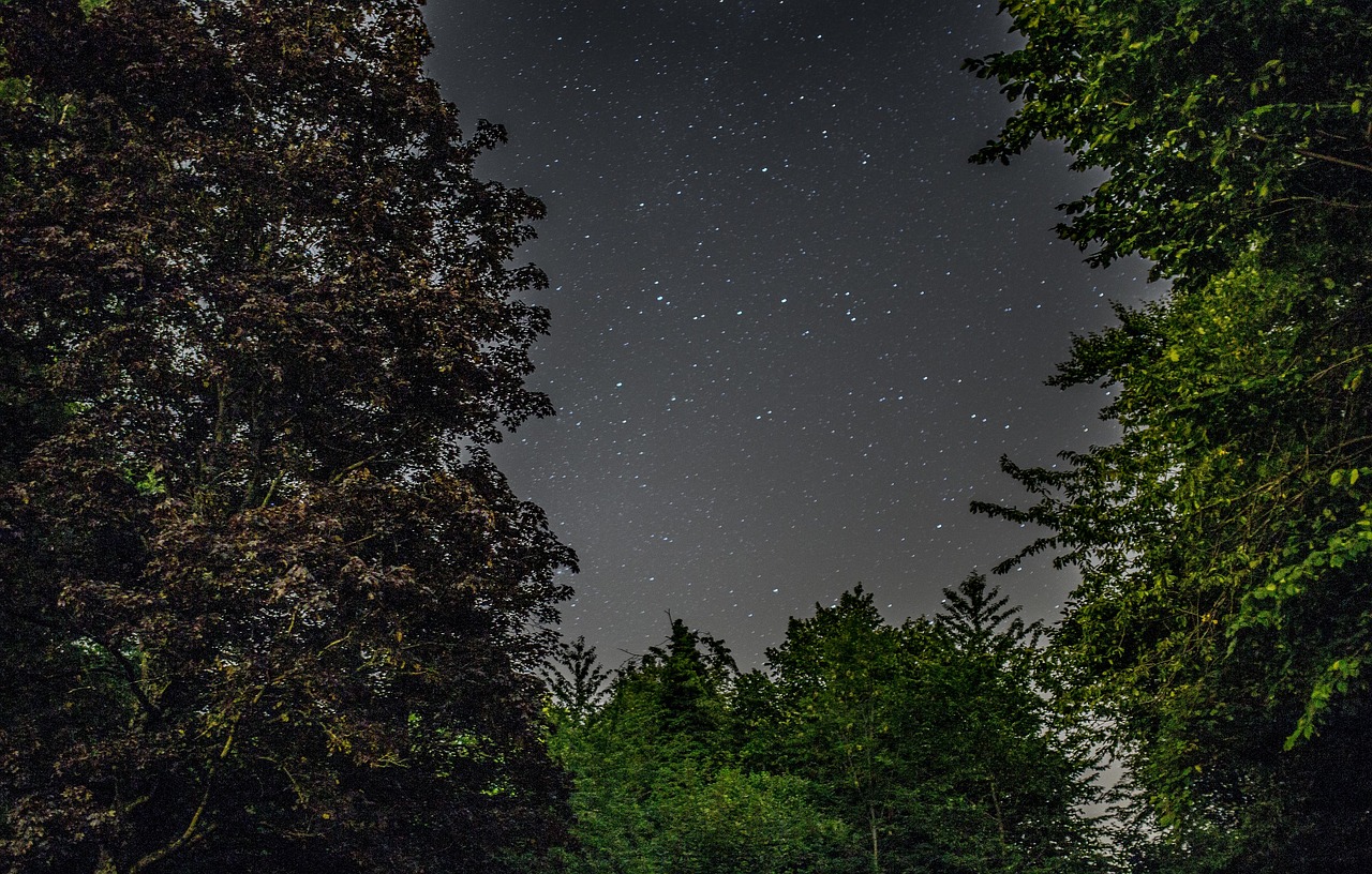 stars night sky free photo