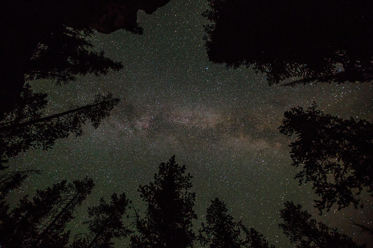 stars  milky way  night free photo