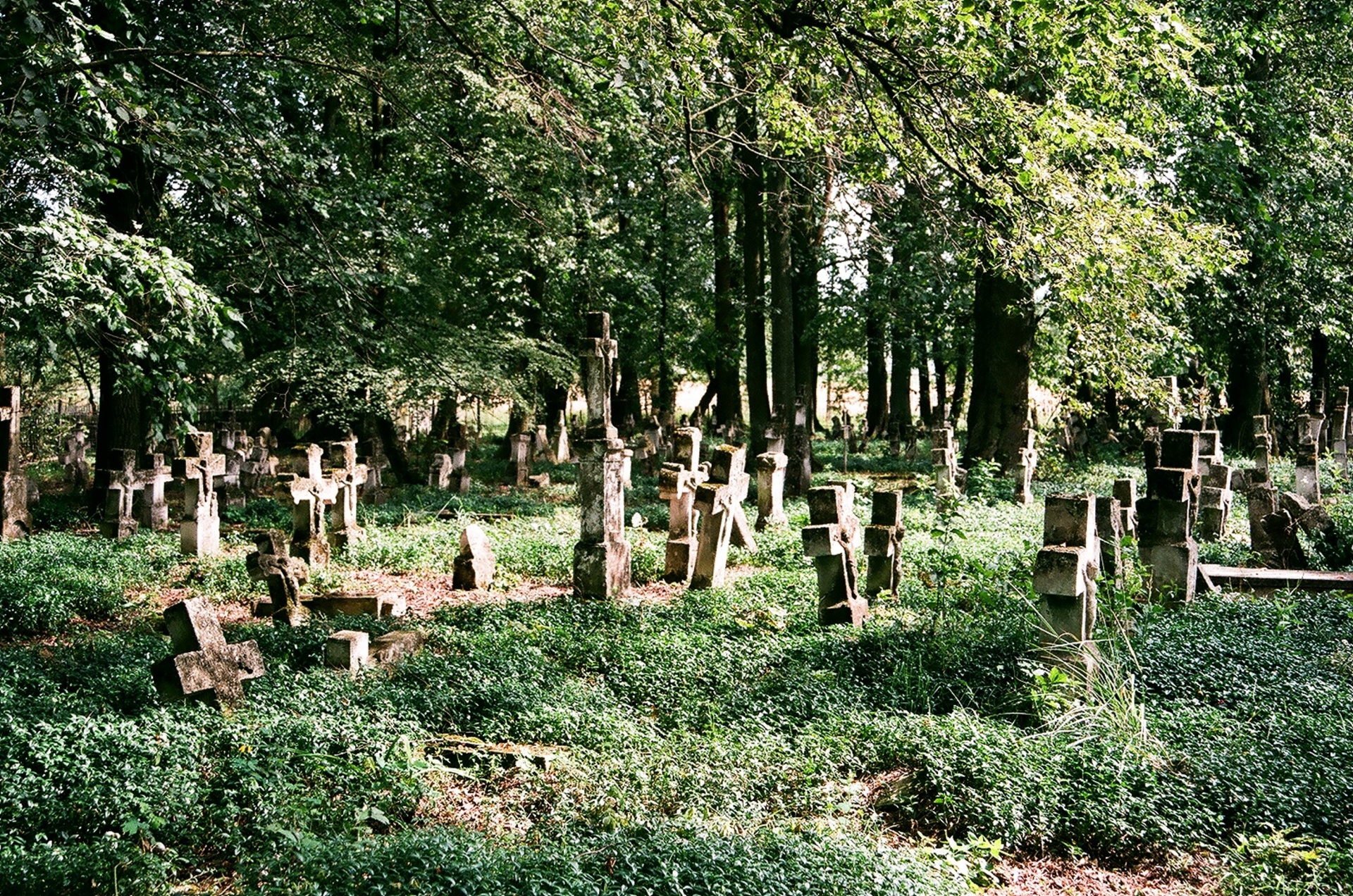 Трускавец старое кладбище