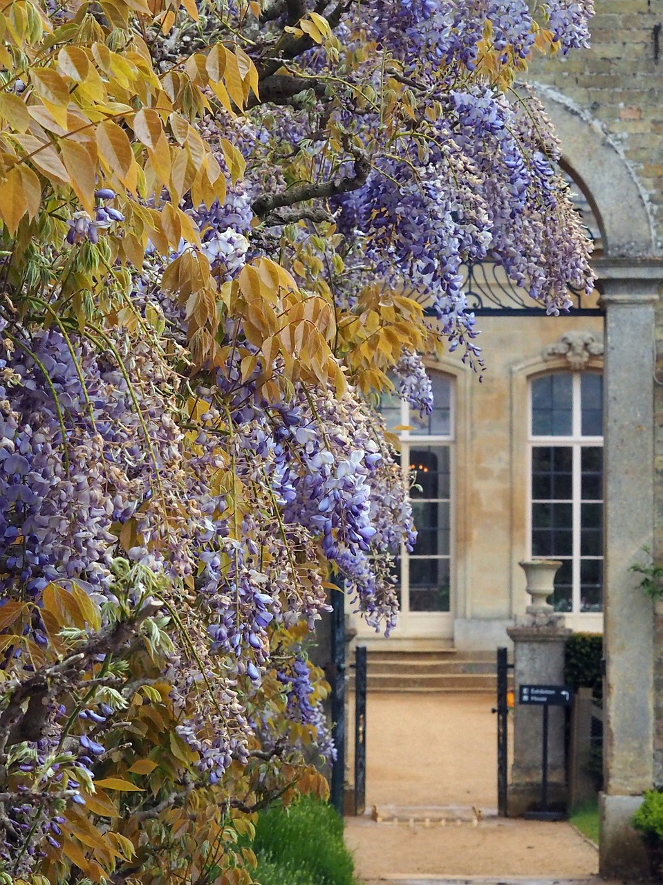 stately home historical historic free photo