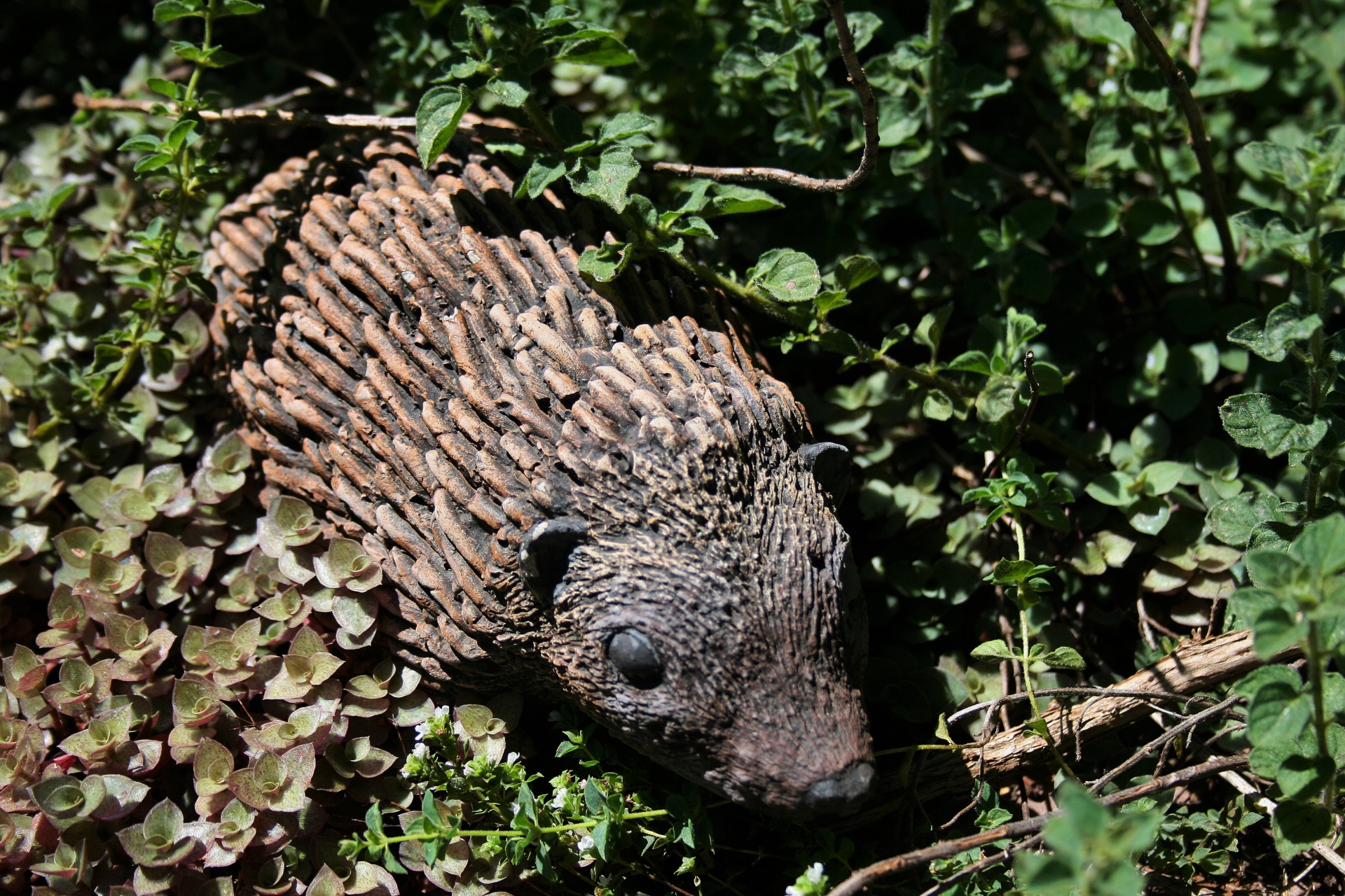 hedgehog imitation replica free photo
