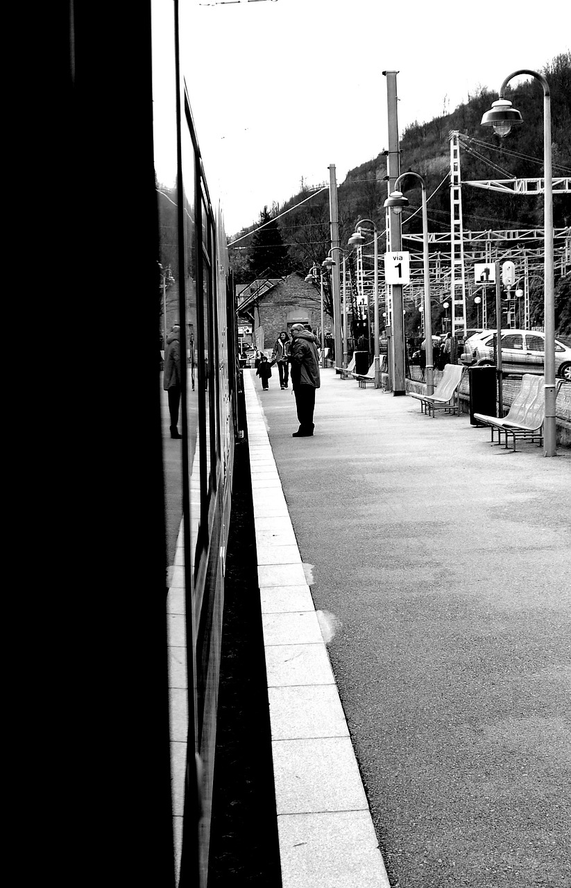 station passengers passenger free photo