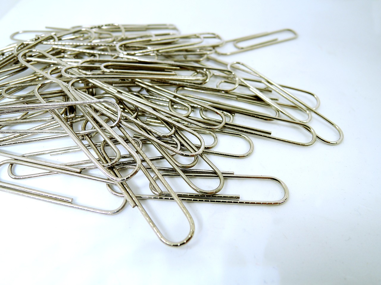 stationery paperclip office supplies free photo