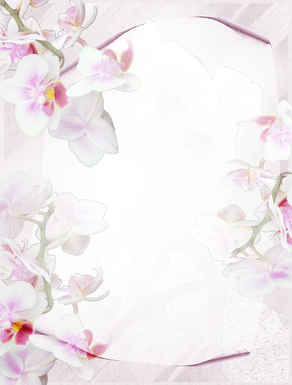 stationery orchid purple free photo