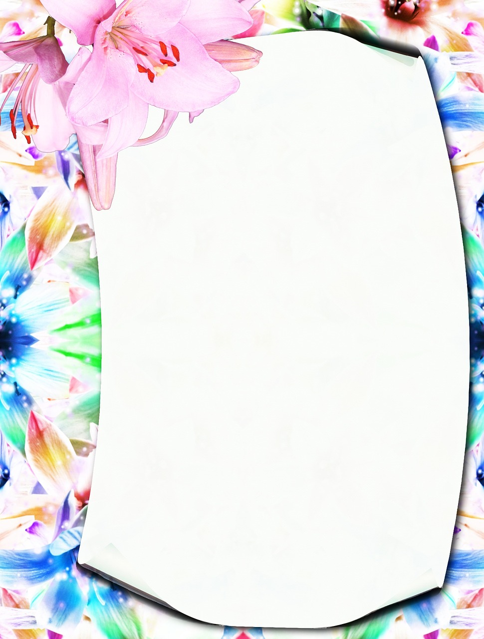 stationery colorful orchid free photo