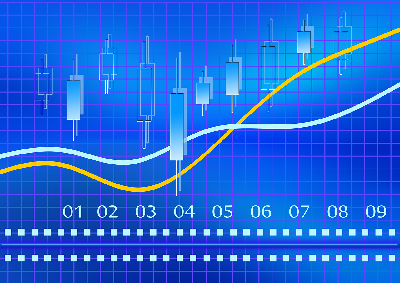 statistics transparency company free photo