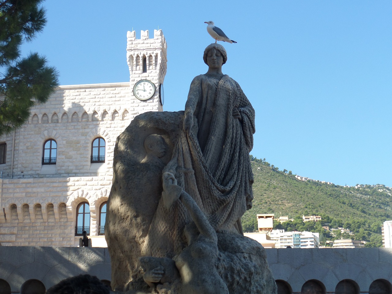 statue seagull surprise free photo