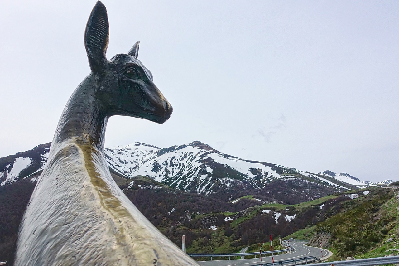 statue deer mountains free photo