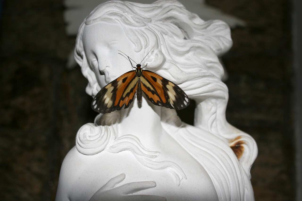 statue butterfly face free photo