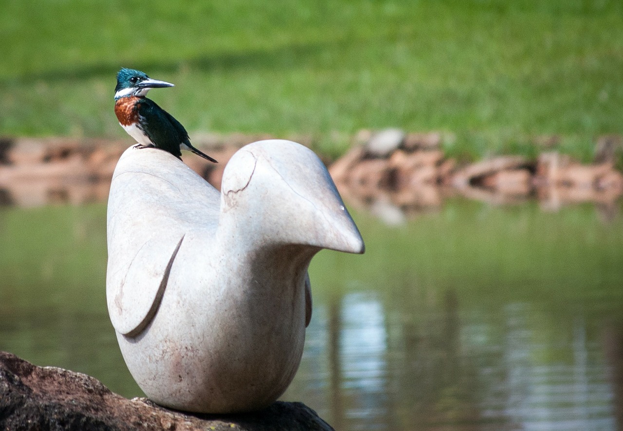 statue bird stone sculpture free photo