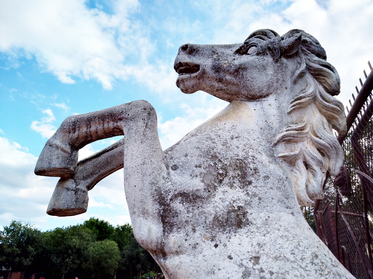 statue horse stone free photo