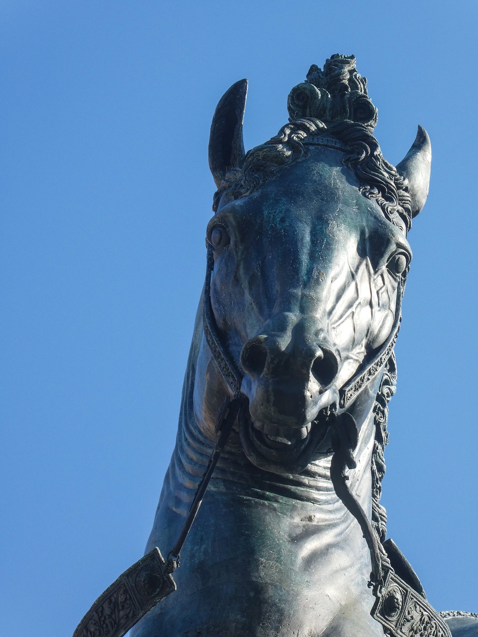 statue horse head free photo