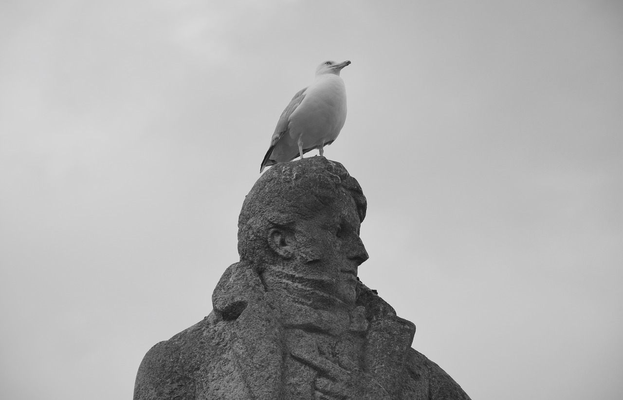 statue françois rené châteaubriant seagull free photo