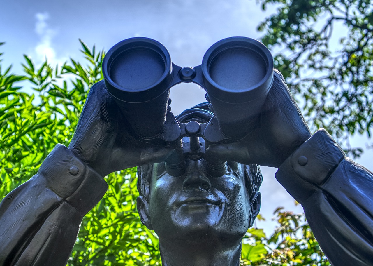 statue  figure  binoculars free photo