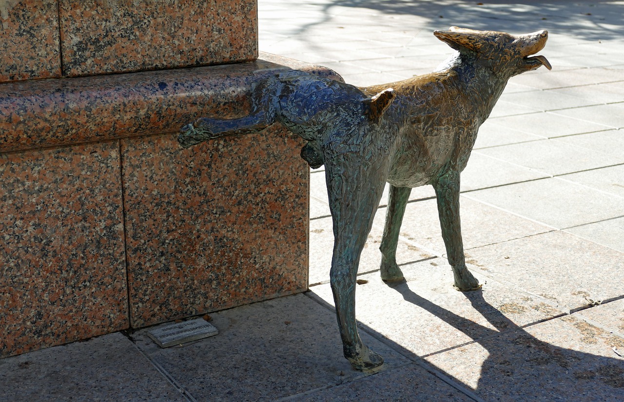 statue  image  dog free photo