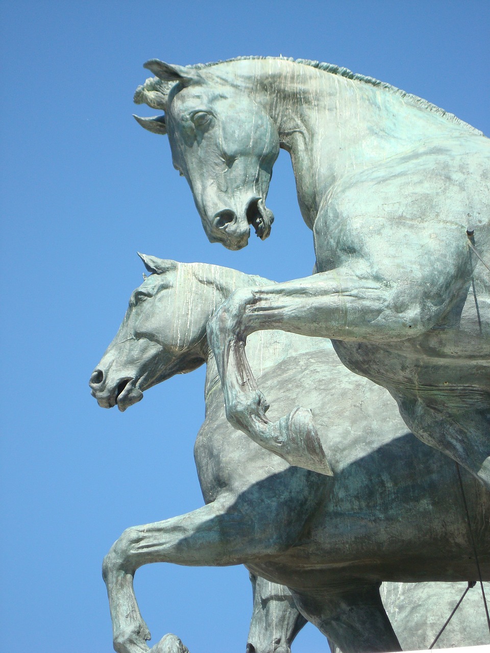 statue horses monument free photo