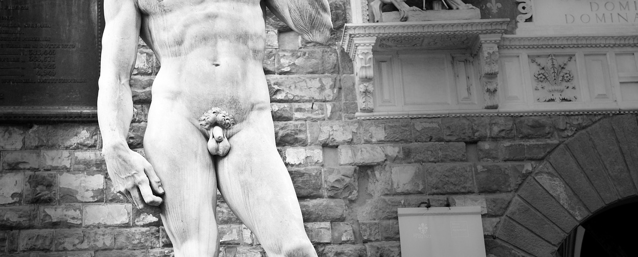 statue marble david free photo