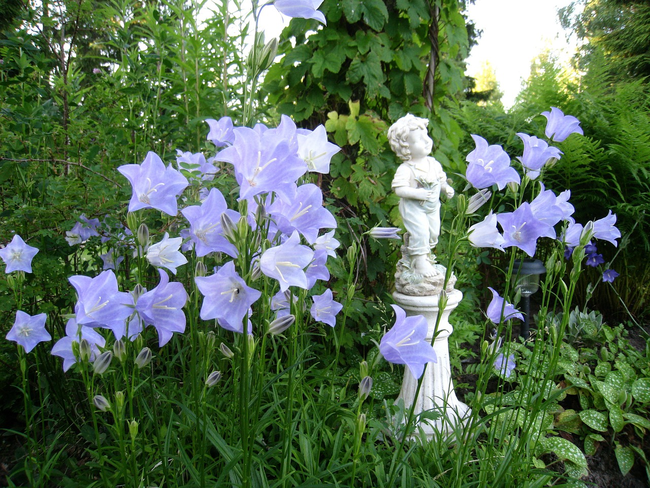 statue boy flowers free photo