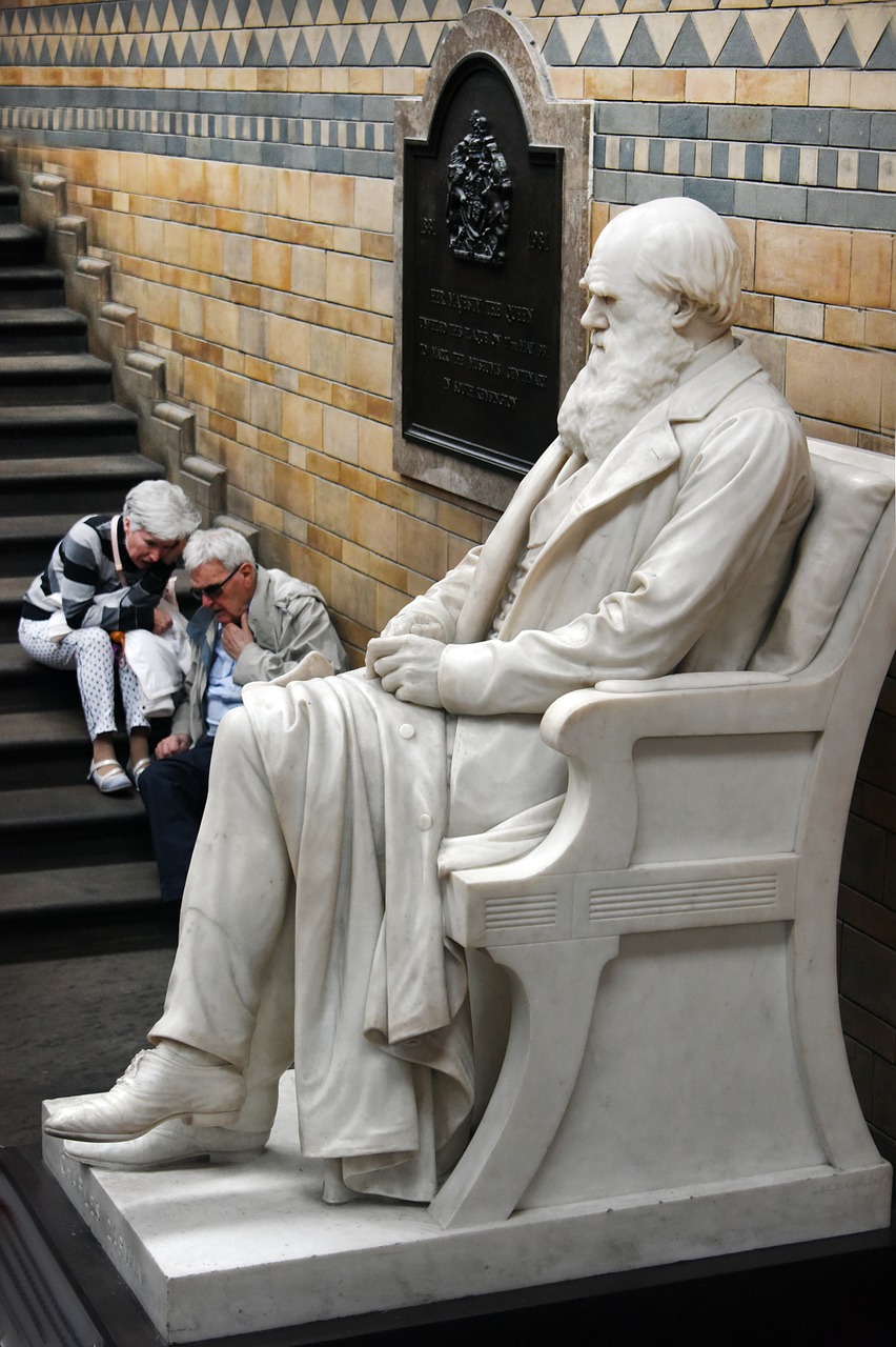 statue darwin museum free photo