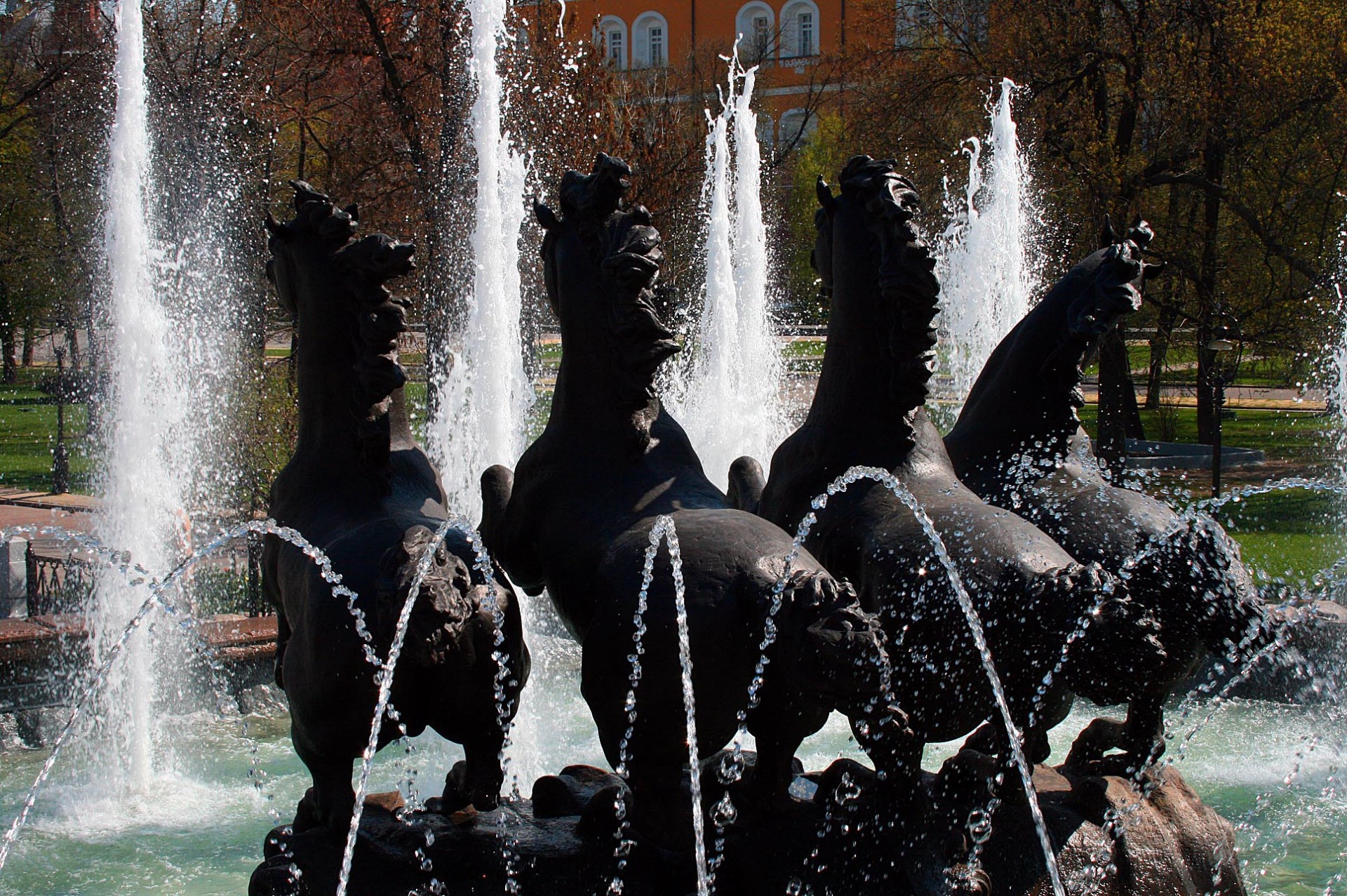 fountain horses wild free photo