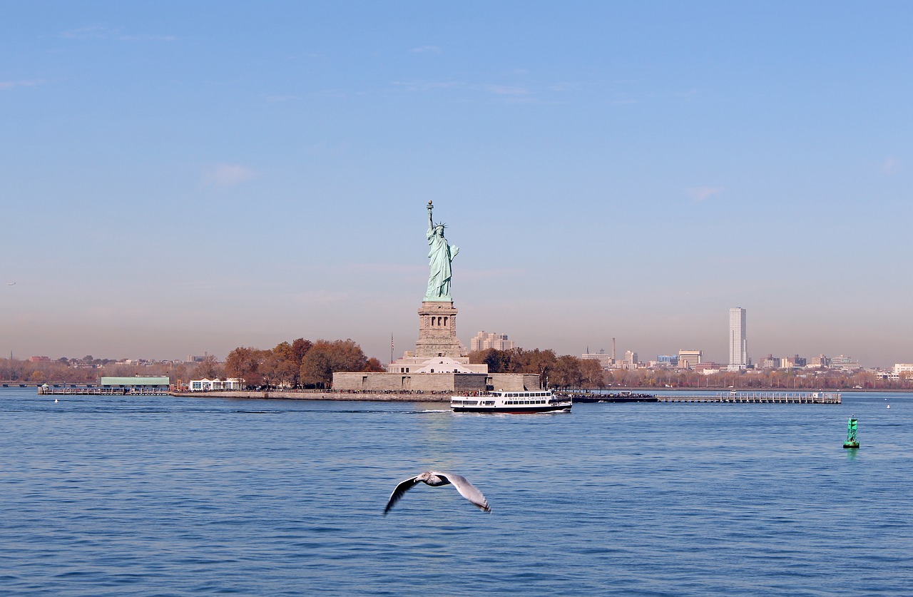 statue of liberty  seagull  sea free photo