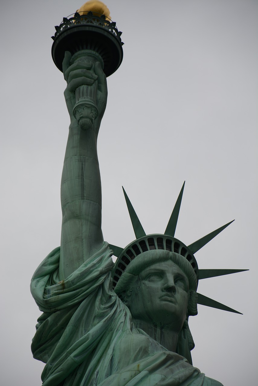 statue of liberty  new york  liberty free photo