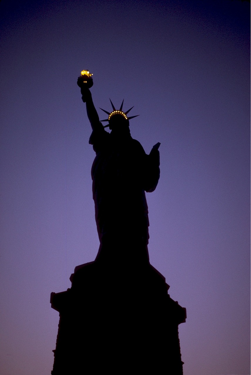statue of liberty night lights free photo
