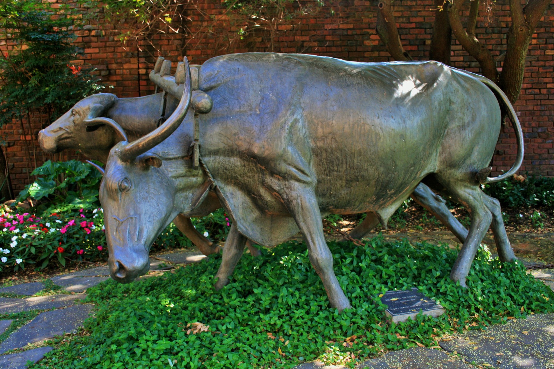 statue oxen working free photo