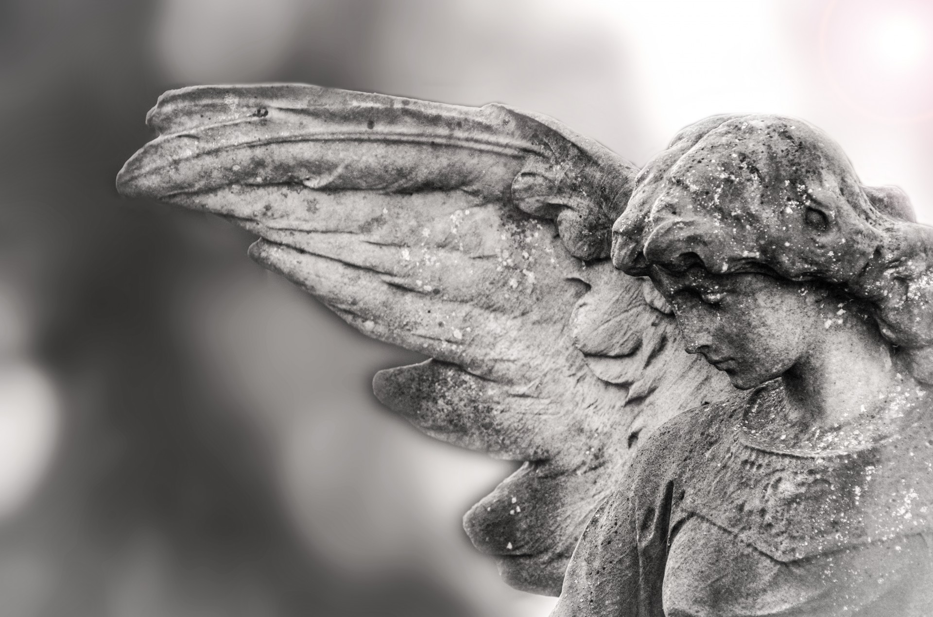 angel angelic background free photo