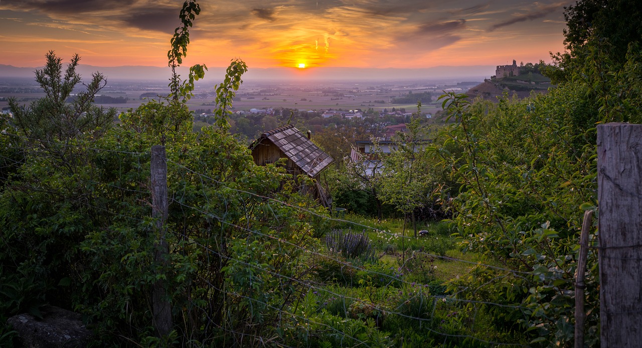 staufen staufen im breisgau swim free photo