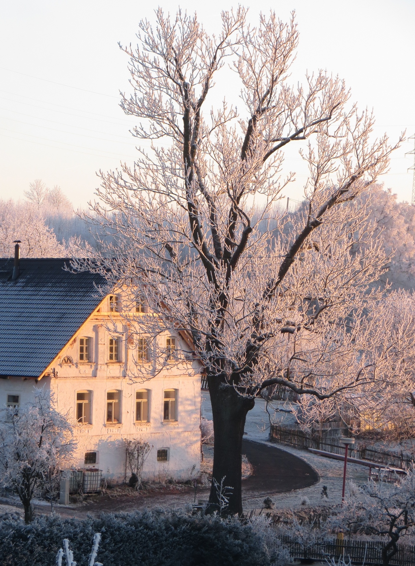 winter building frost free photo