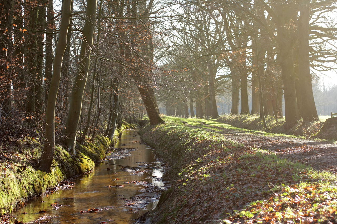 staverden  creek  winter free photo