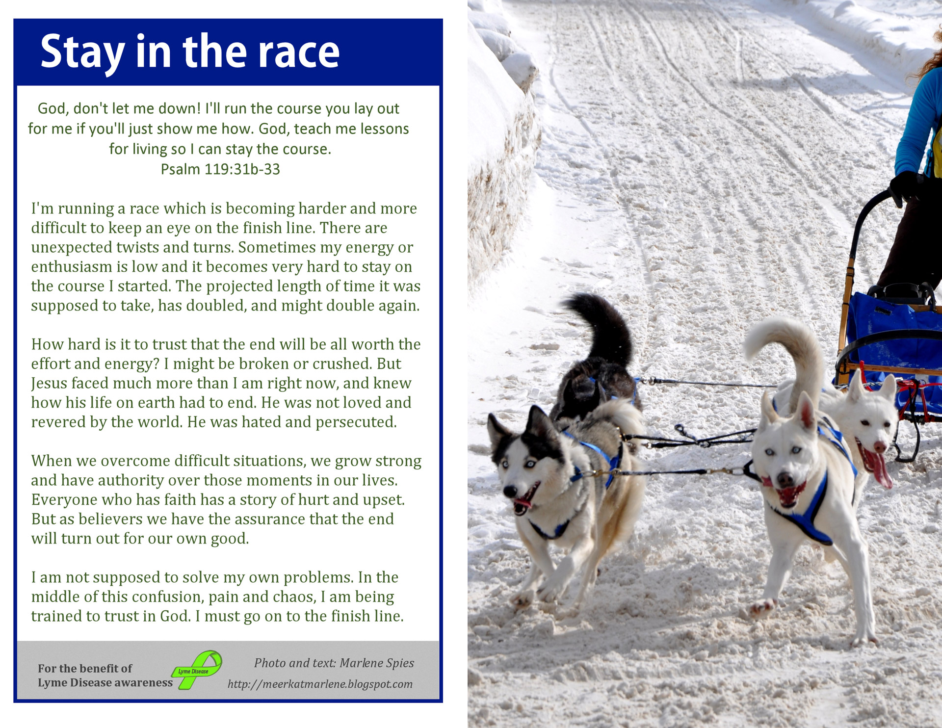 bulletin cover race free photo