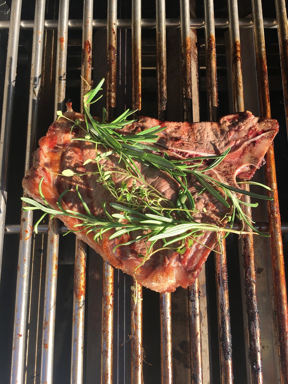 steak  herbs  grill free photo