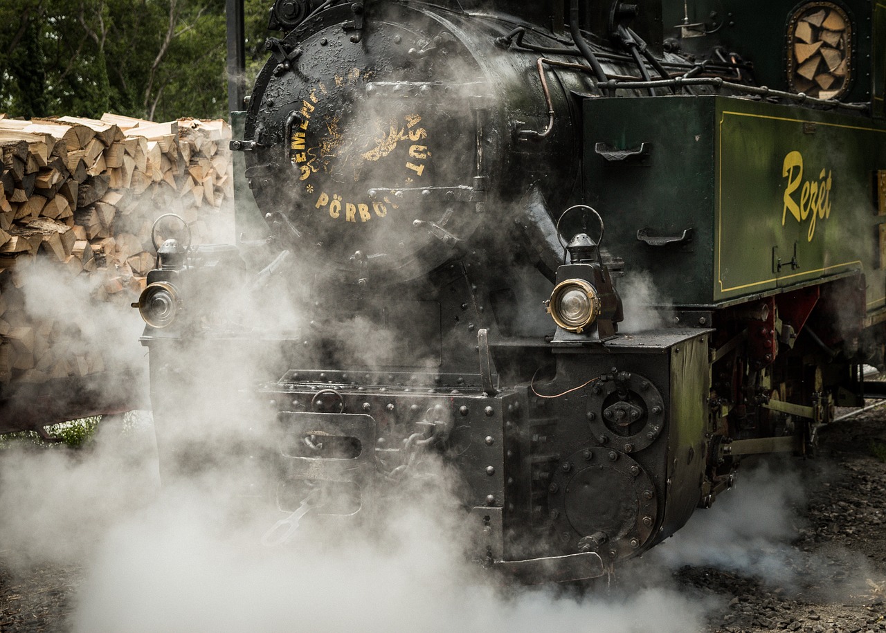 steam  train  logs free photo