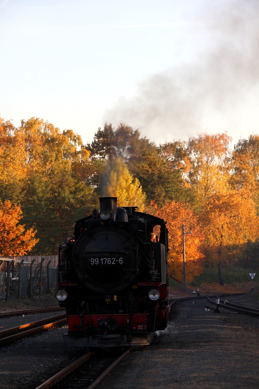 steam locomotive narrow gauge autumn free photo