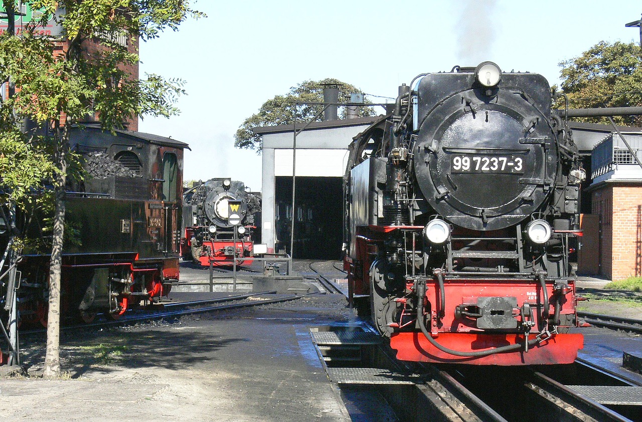 steam locomotive resin wernigerode free photo