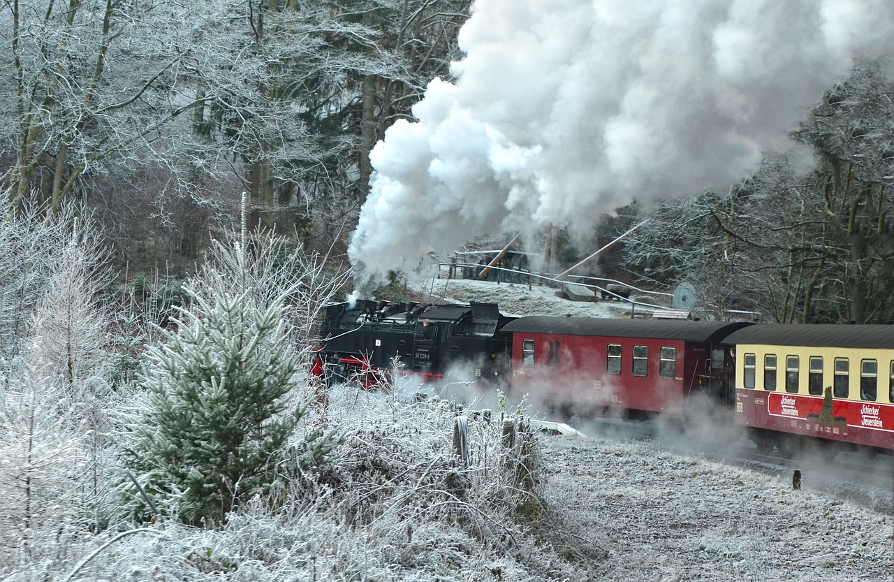 steam locomotive schmalspurbahn harzer resin free photo